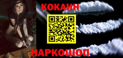стаф Гатчина