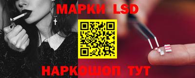 стаф Гатчина