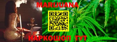 стаф Гатчина