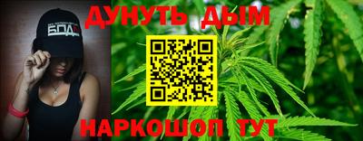 стаф Гатчина