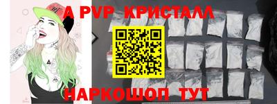 стаф Гатчина