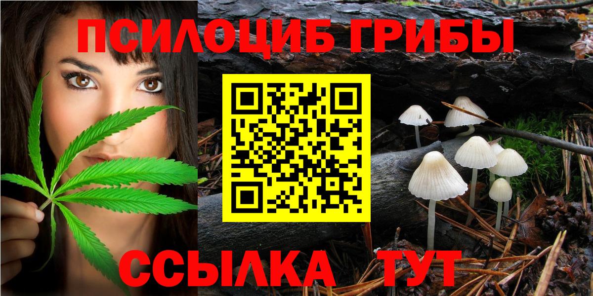 Псилоцибиновые грибы GOLDEN TEACHER Гулькевичи