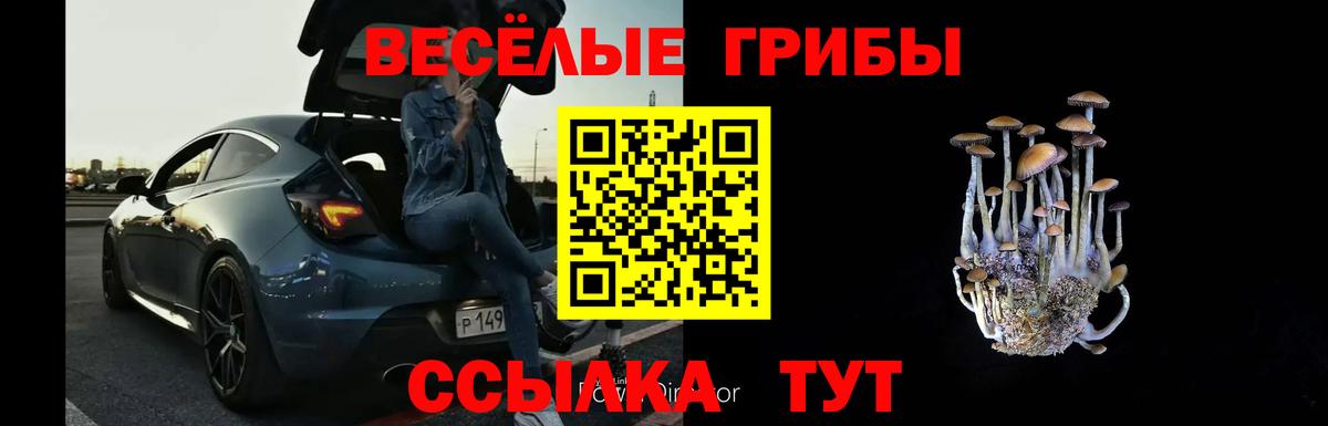 Псилоцибиновые грибы мицелий  Вход с VPN  Галлюциногенные грибы MAGIC MUSHROOMS  Гулькевичи 